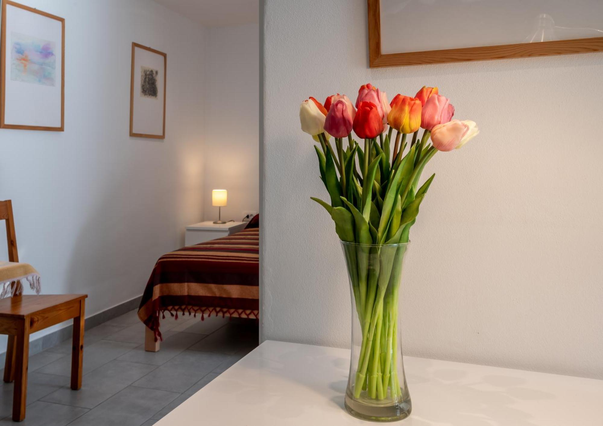 דירות Draga Bašćanska Relax House Rosemary מראה חיצוני תמונה